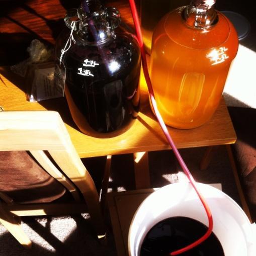 Red Sweet Wine (No Concentrate) (Wine to Set Recipe 2007) 18%+, 0.76%TA 990ml Elderberry Juice / 1.23Kg Elderberries 1.