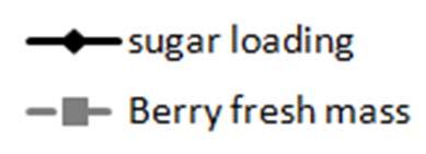 Sugar loading curve for Shiraz B 300 120 Sugar per berry (mg/berry) 250 200 150 100 50 17.1.2014 21.6 Brix 28.1.2014 23.1 Brix 10.2.2014 27.