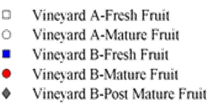 Vineyard B Fresh Fruit
