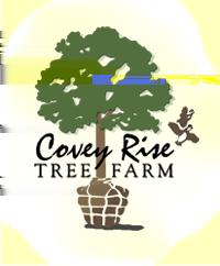 Covey Rise Tree Farm Availability List 1839 Covey Rise Farm Rd Sparta, Georgia 31087 E-mail: coveyrisetrees@gmail.