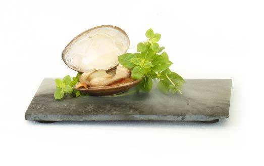 Molecular Gastronomy has become a new tendence in the past years.