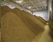 (grasses/legumes) / silage High energy feeds grains / grain by-products High protein feeds