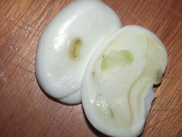 the empty egg shell when the latex cover is removed (centre and bottom left).