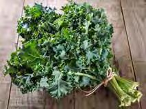 69 ea GREEN KALE from