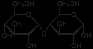 Starch Dextrins and sugars Amylose straight chain, a 1-4 linkages Limit