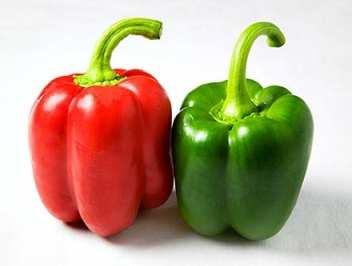 Tin : Tin : Tin : Tin : Plastic Bag Tobacco Mosaic Virus (TM1) CALIFORNIA WONDER: A standard open pollinated variety with continuous picking Sweet pepper with green blocky fruits Maturity 80 days