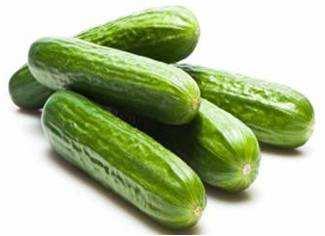 Cucumber ASHLEY: An excellent slicing cucumber A white spined fruit type grown on