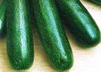 Zuchinni GREEN ZUCHINNI: A dark green cylindrical Zuchinni Vigorous, very