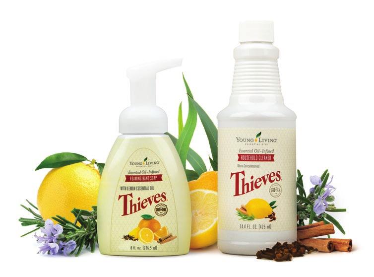 AT HOME Thieves Young Living s unique Thieves blend is crafted in the tradition of four 15th-century French thieves who created a special aromatic combination of clove, rosemary and other botanicals.