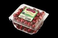 A staple on the family table during the holidays, cranberries are the
