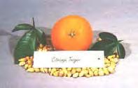 except sour orange. Impart good to excellent fruit quality.