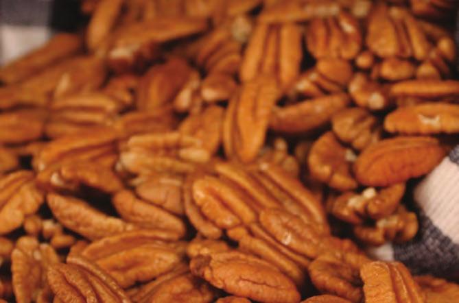 Halves Pecan Halves are a healthy snack that can be enjoyed in their natural state. Pecans are gluten-free and contain high levels of antioxidants.our Pecan Halves are certified Kosher.