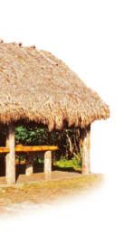 Houses were made from wood, and each had a roof made from straw or tall plants.