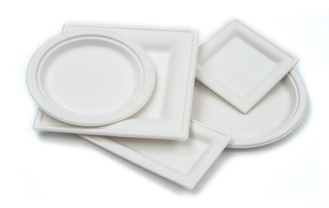 Continued... Bagasse Containers Compostable BORES600 Compostable Bagasse Hinged Box 600ml (185x135x60mm) Off-White 250 1 19.95 2 17.