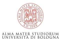 Platina Italy 2009-2011 University