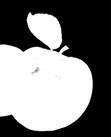 Apple A very crisp apple with a