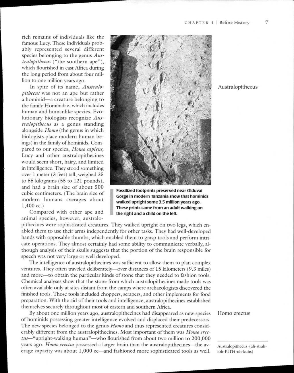 CHAPTER 1 I Before History 7 Fossilized footprints preserved near Olduvai Gorge in modern Tanzania show that hominids walked upright some 3.5 million years ago.