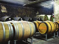 heir wine philosophy is based on the belief that great wines are grown in the vineyard.