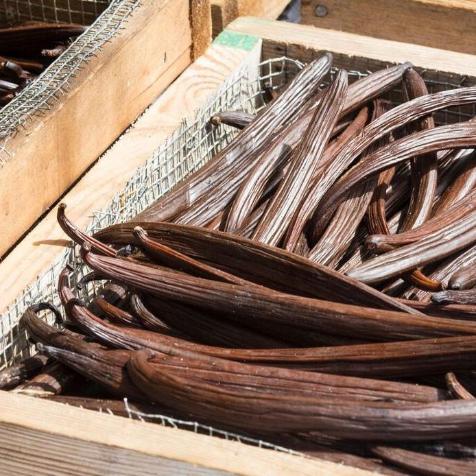 E ach day, vanilla beans are laid out by hand in the sun to dry, then wrapped up at night to