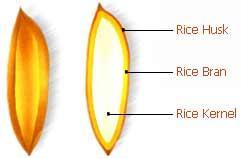 What is Rice Bran Oil 1. Rice bran oil is extracted from the oily layer of brown rice, which is separated as Rice Bran while producing white rice. 2.