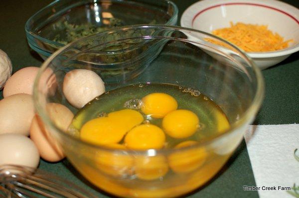 One dish I enjoy cooking for the chickens is a large baked egg dish.
