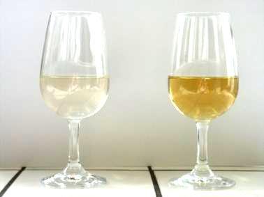 loss of fruity aromas Manifestations of premox in dry white wines appearance of heavier aromatic nuances