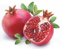 Energizing Pomegranate Cleanser (150ml) فوم شوینده و انرژی بخش پوست مختلط و چرب Optimizing beautiful
