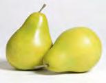 Pears The pear market is similar to last week with Bosc variety finishing and Red Anjous wrapping up in June.