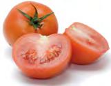 PRODUCE TOMATOES Rounds: The Florida round market is finally firming up after weeks of downward trends. Production has not slowed, however the demand has improved.