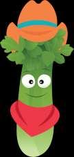 Celery is