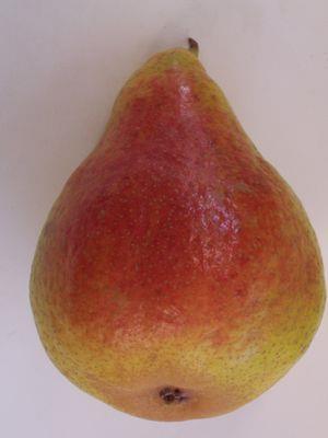 Sunrise has shown impressive resistance to fire blight and is superior to other varieties in its season. Pollinates well with Bartlett, Red Bartlett and Bosc and likely other pears.