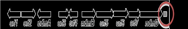 ndmabcd refactored from P.