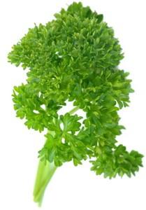 Parsley (Petroselinum crispum) Parsley likes a sunny, sheltered spot in well-drained soil. Can be grown indoors.