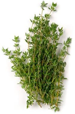 Thyme (Thymus) Thyme likes full sun in dry, well-drained soil. Propagate from stem cuttings (5-8cm) anytime except winter. Infusion as a tea is good for digestion and for hangovers.