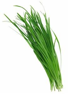 Chives (Allium) Chives like sun or partial shade. To propagate, divide bulbs in autumn or spring. Sprinkled on food, can promote good digestion. Can be a mild laxative.