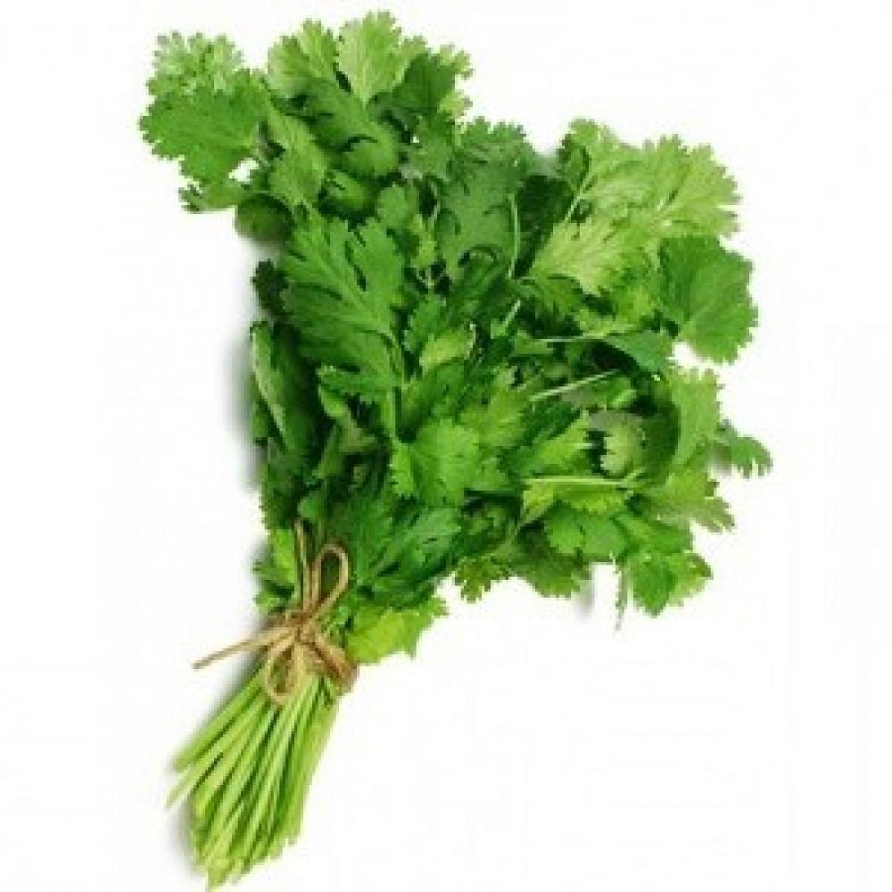 Coriander (Coriandrum sativum) Coriander likes full sun in rich and light soil. Can be grown indoors but its scent is unpleasant. Infused as a tea it is a digestive tonic and mild sedative.