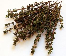 Thyme Tabor & Lemon Thyme Thymus pulegioides tabor & Thymus x citriodorus Thyme is a very popular & widely used culinary herb which also has medicinal properties.