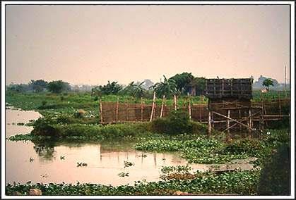 Hardships Faced By Settlers The site they chose to live on was marshy and lacked safe drinking water.
