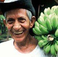 (mln. eurų)6 Ar žinote? Kolumbija, Dominikos Respublika, Peru ir Ekvadoras yra pagrindinės Fairtrade bananus auginančios valstybės. 97 proc.