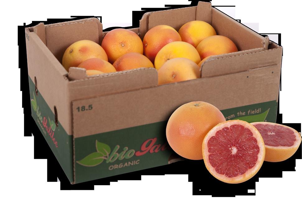 kg fruit box, mm 85-93 Boxes on plt 82-87 79-84 76-81 72-78 40X60X16 ~15 Organic Citrus Organic Sweetie 80 64-68