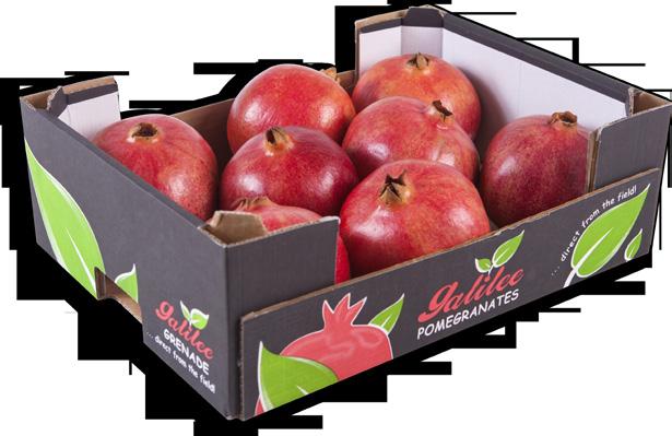 Pomegranates Yoav Nakash - Product Manager Carrots,