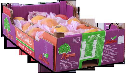 com Sharon Fruit Mango Sizes Weight Count kg Boxes on plt Weight fruit, g