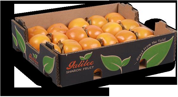 Lior Gal - Product Manager Sharon Fruit, Nectarine, Peach, Lychee Tel: