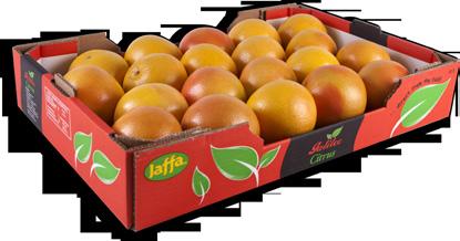 Grapefruit & Sweetie Rafi Zuri - Product Manager - Citrus Tel: +972-3-6539018