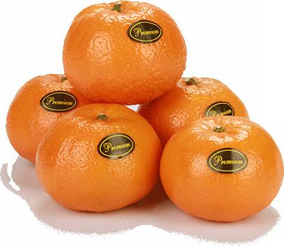 plt 110 Mandarins & Clementines Galilee s mandarins are easy to peel and