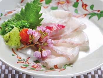 fish sashimi
