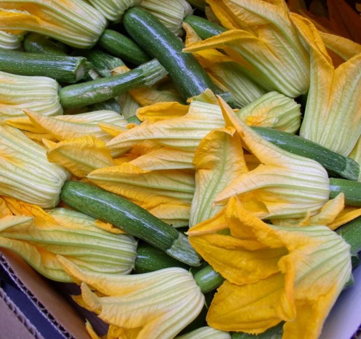 Varieties of Summer Squash Did you know? The most popular summer squash is zucchini. Zucchini is only one of many kinds of summer squash.