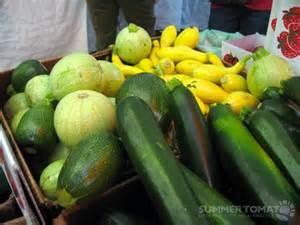 Measuring Fresh Summer Squash 1 pound = 4 cups raw slices = 1-2/3 cups cooked slices = 1-1/4 cups raw grated 1/2 cup raw, sliced = about 2 ounces by weight = about 65 grams Handling and Preserving: