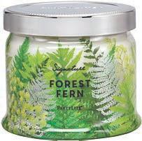 intoxicating aroma with cedarwood and fragrant incense FOREST FERN G73939