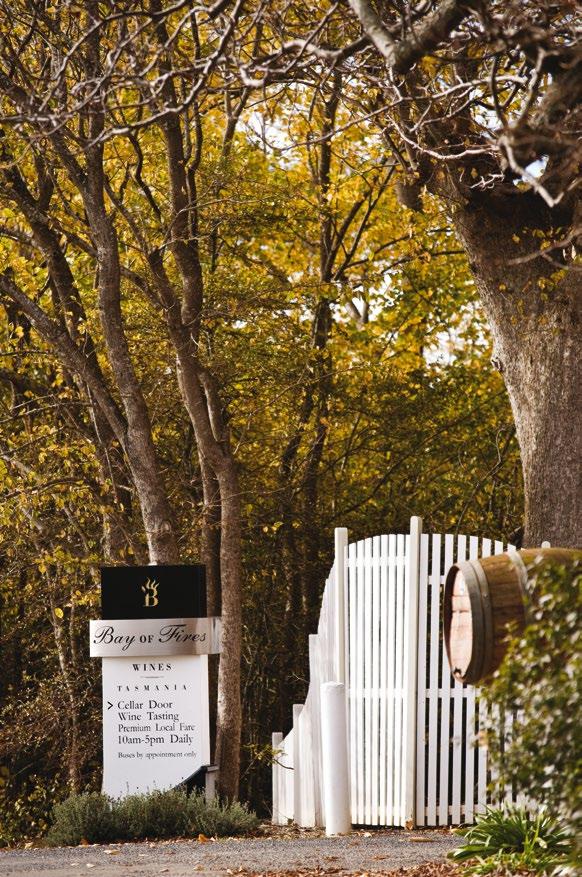 Nestled in lush towering woodlands along the banks of the gentle Pipers River a white picket gate bids a friendly welcome. Bay of Fires Winery is home to our premium range of cool climate wines.